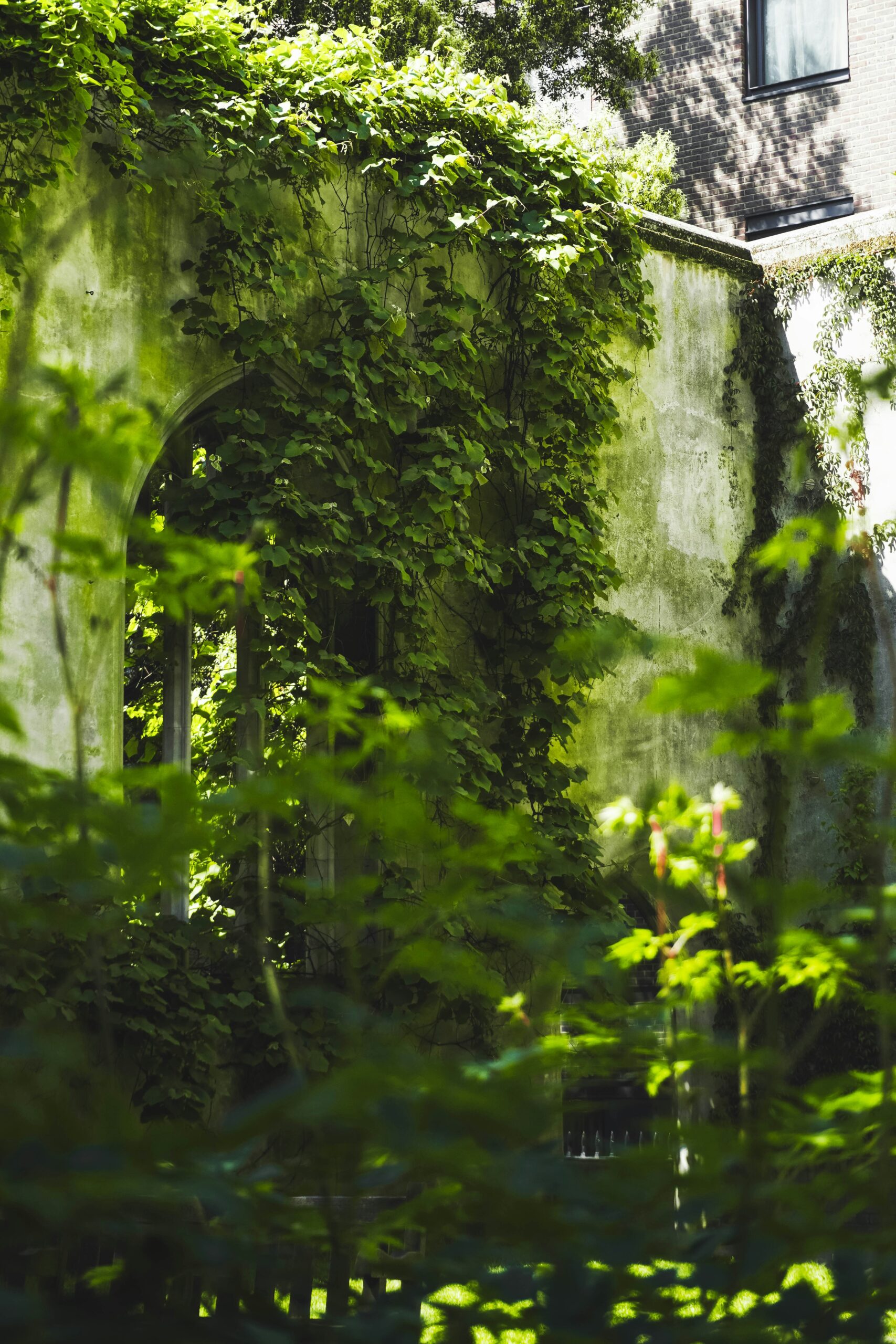 The Influence of Magical Realism in 'One Hundred Years of Solitude' by Gabriel García Márquez on World Literature 3 a building covered in vines with a clock tower in the background