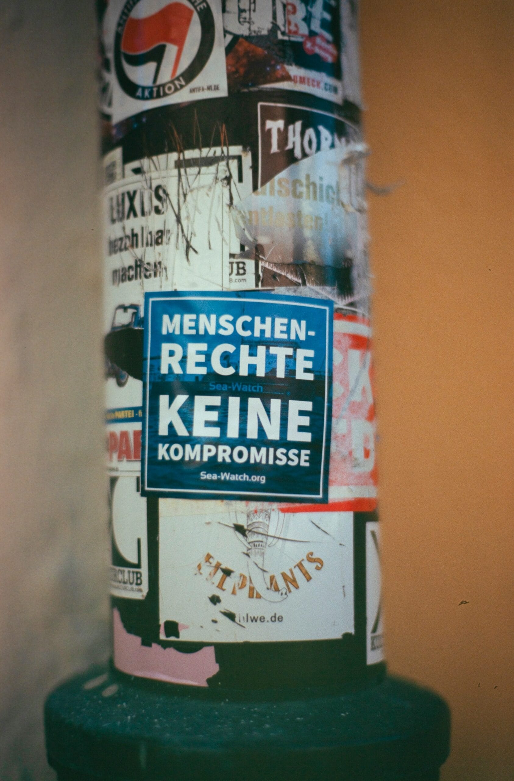 The Influence of European Literature on Global Human Rights Movements 3 white and black labeled bottle
